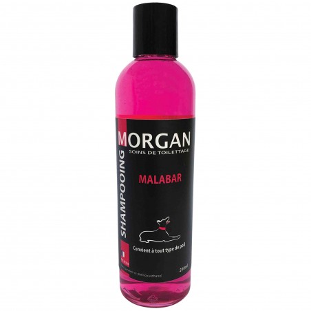 shampooing malabar pour chien morgan