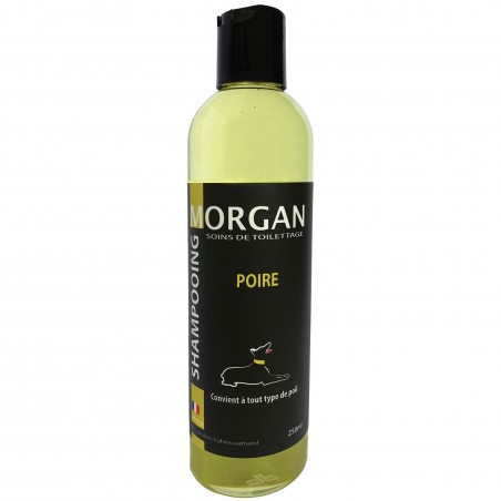 Shampooing poire pour chien morgan