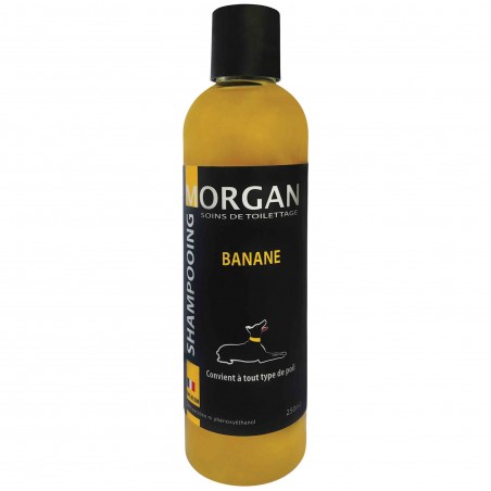 shampooing banane pour chien morgan