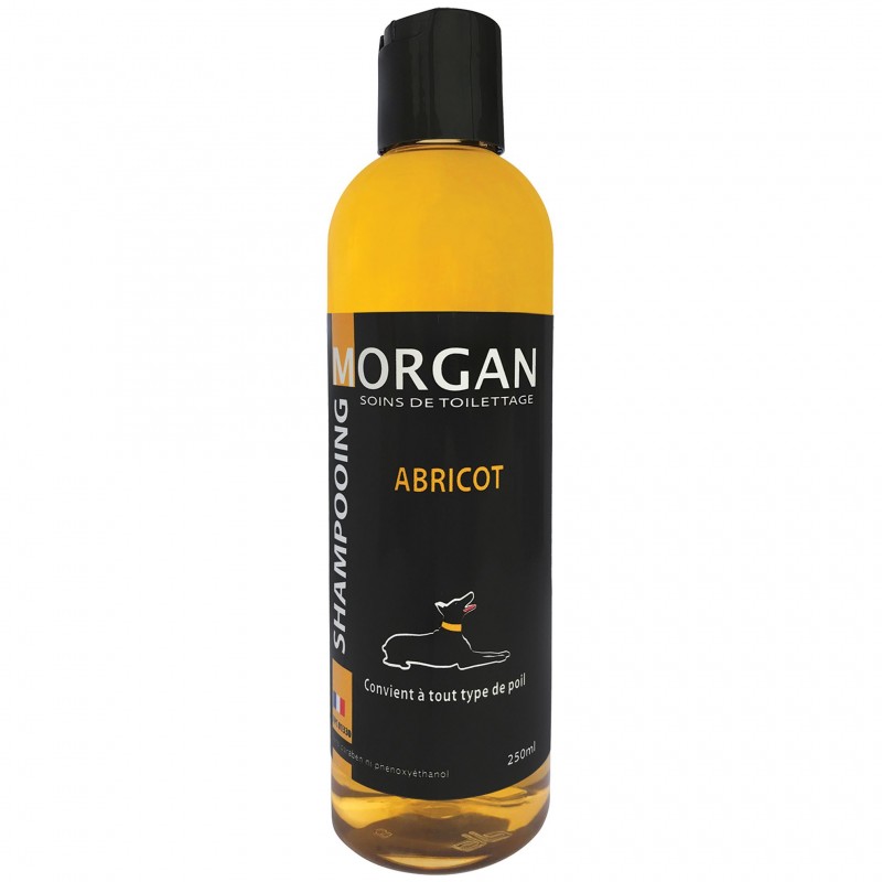 shampooing pour chien abricot morgan