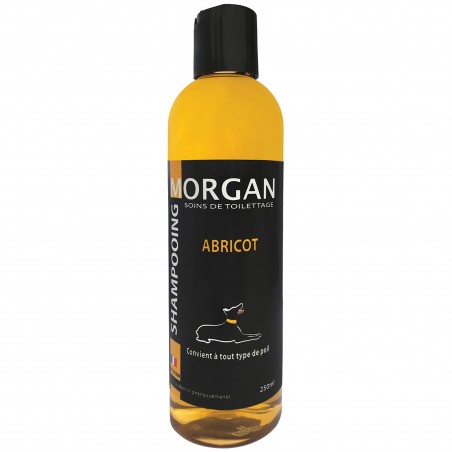 shampooing abricot pour chien morgan