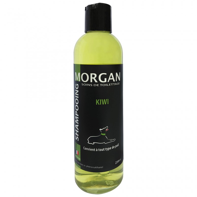 shampooing pour chien kiwi morgan