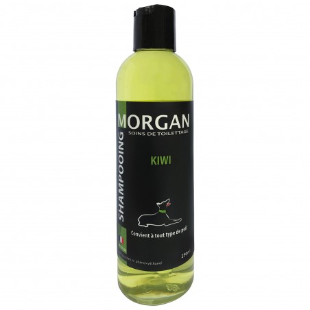 shampooing kiwi morgan