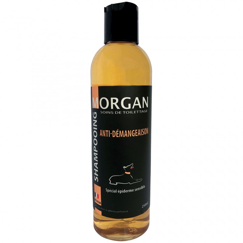 shampooing pour chien anti démangeaison morgan