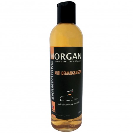 shampooing pour chien anti démangeaison morgan