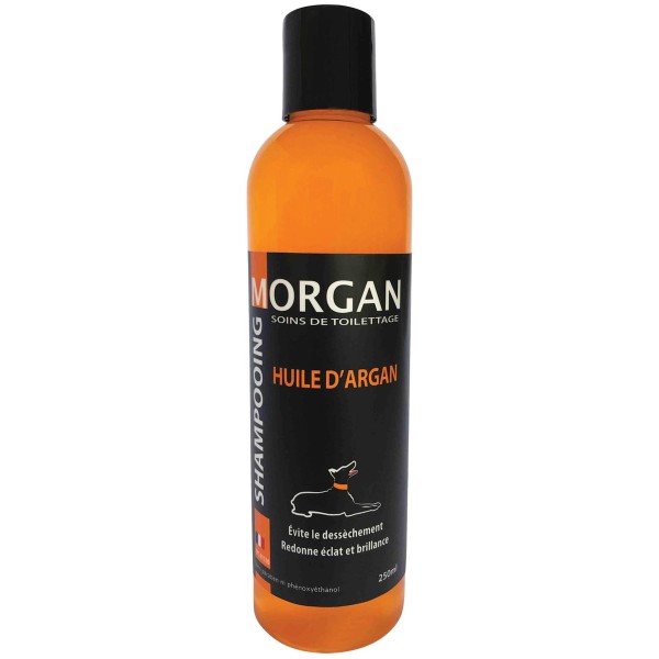 shampooing pour chien huile d'argan morgan 250 ml