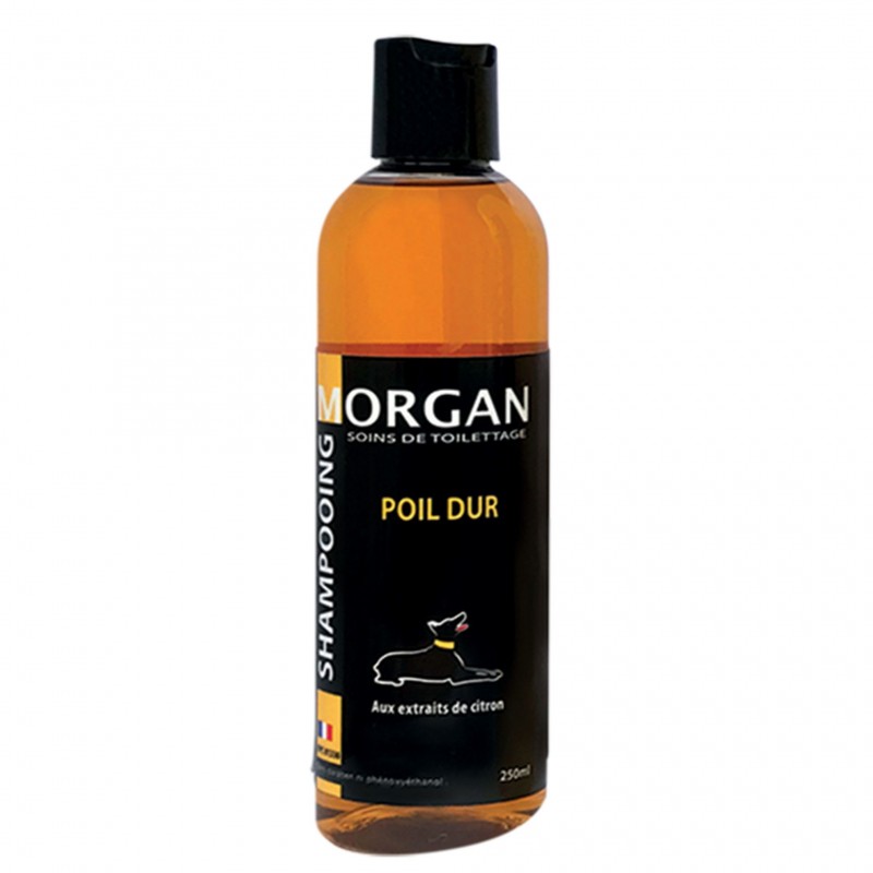 shampooing poil dur pour chien morgan