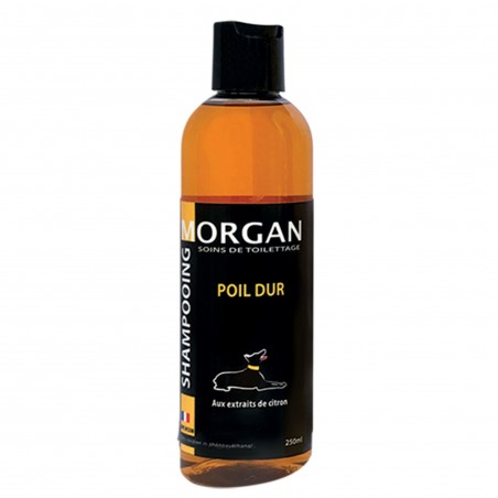 shampooing poil dur pour chien morgan