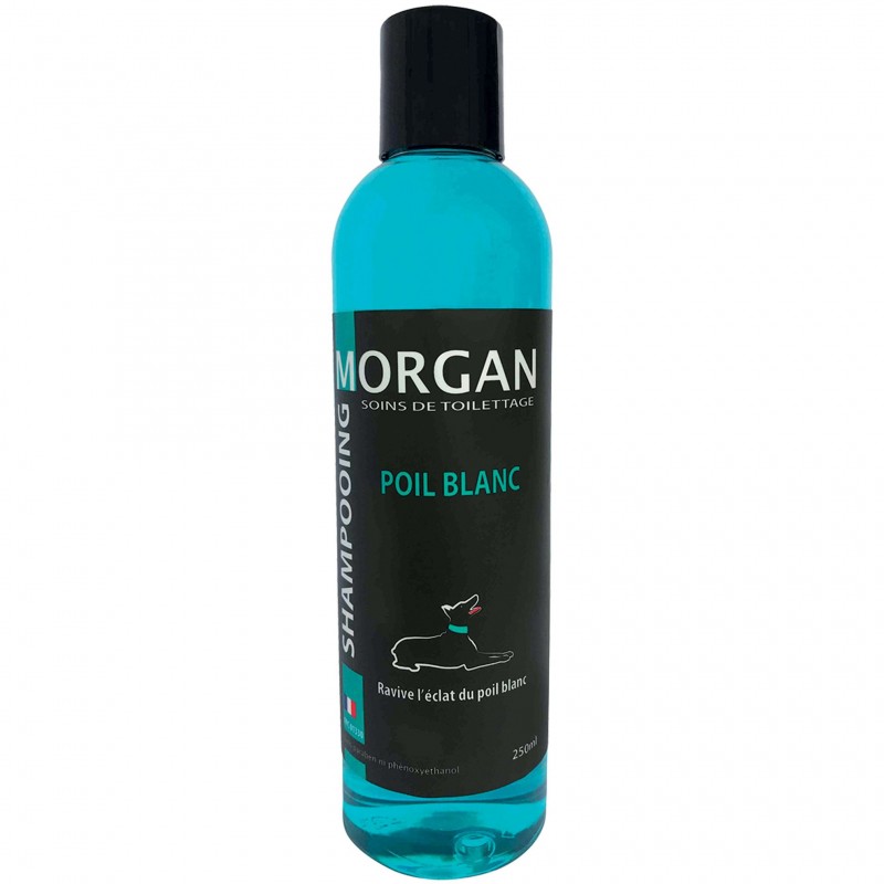 shampooing pour chien poil blanc morgan