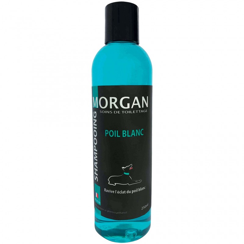 shampooing poil blanc morgan