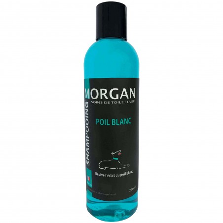 shampooing pour chien poil blanc morgan