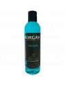 shampooing pour chien poil blanc morgan