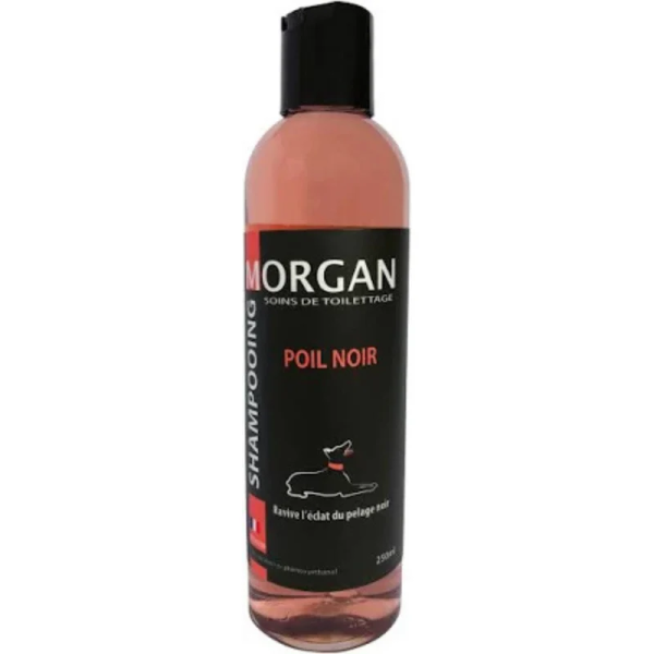 shampooing pour chien poil noir morgan