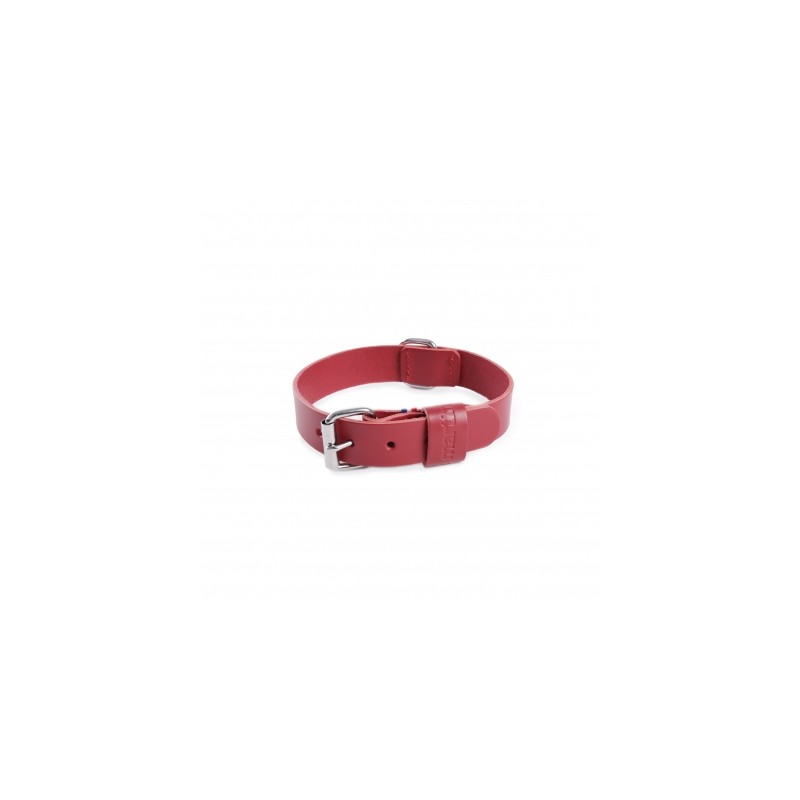 collier chien cuir rouge collection 499 martin sellier