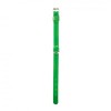 Collier pour chien en cuir vert collection 499 MARTIN SELLIER avec bouclerie en acier nickelé