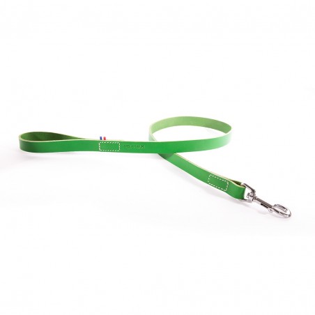 laisse pour chien en cuir vertecollectio n 499 martin sellier