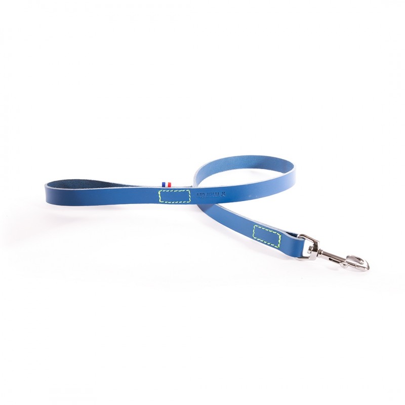 laisse pour chien en cuir bleue collection 499 martin sellier