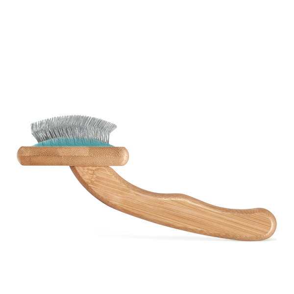 carde pour chat picots supersoft artero de profil