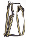 harnais chien trio noir jaune martin sellier