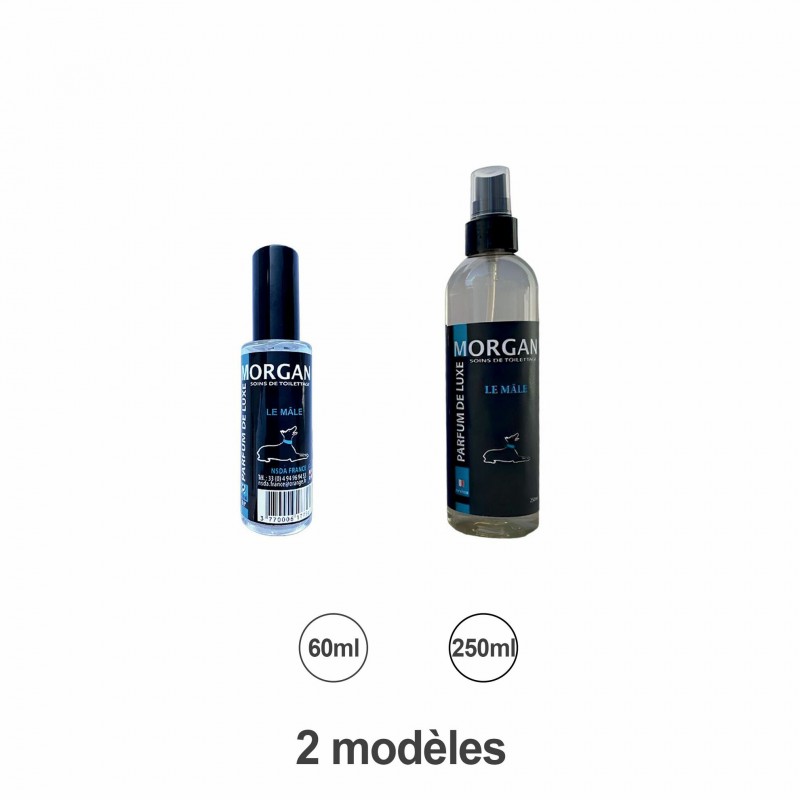 parfum chien le mâle MORGAN