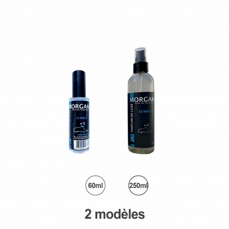 parfum chien le mâle MORGAN
