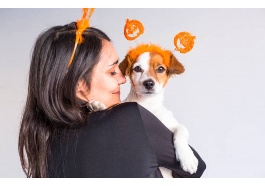 Fêter Halloween avec votre chien