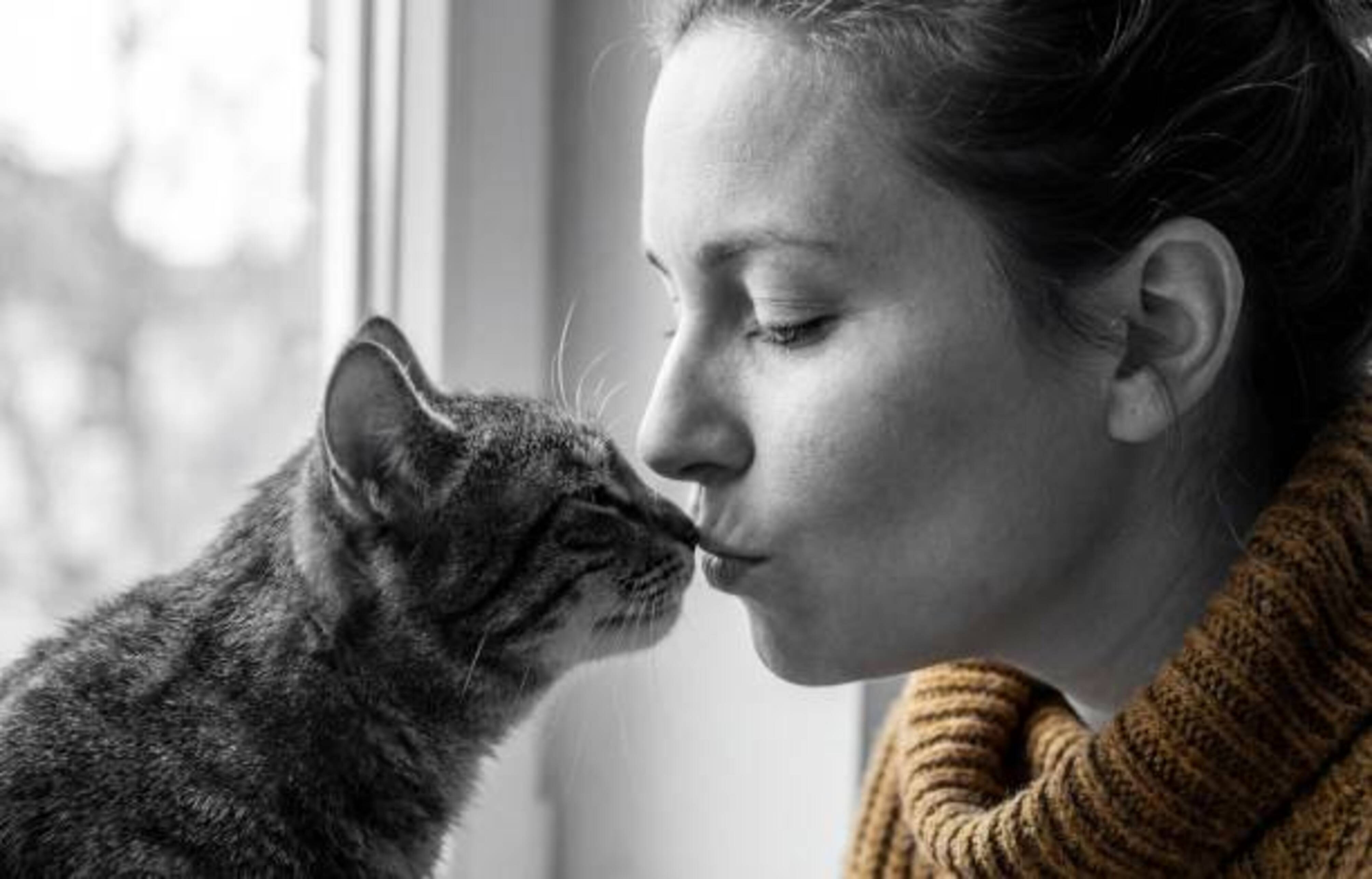 femme qui embrasse la truffe de son chat