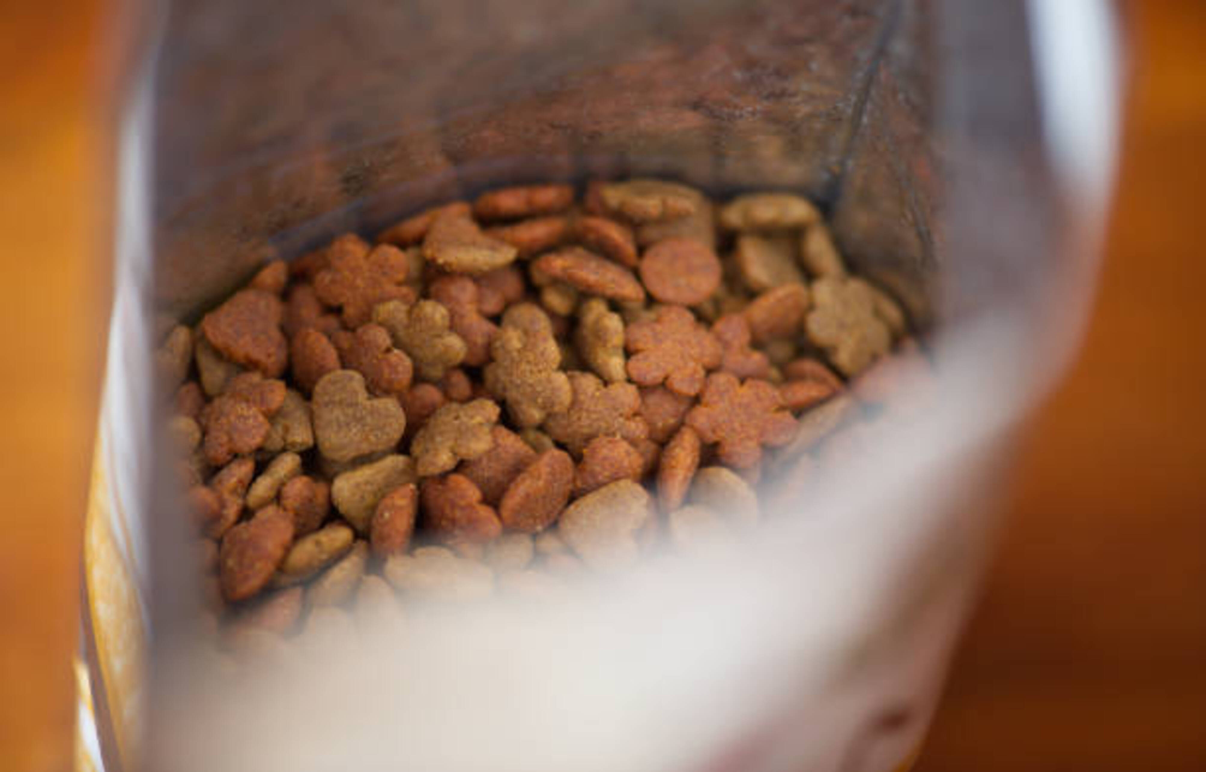 paquet de croquettes pour chat ouvert