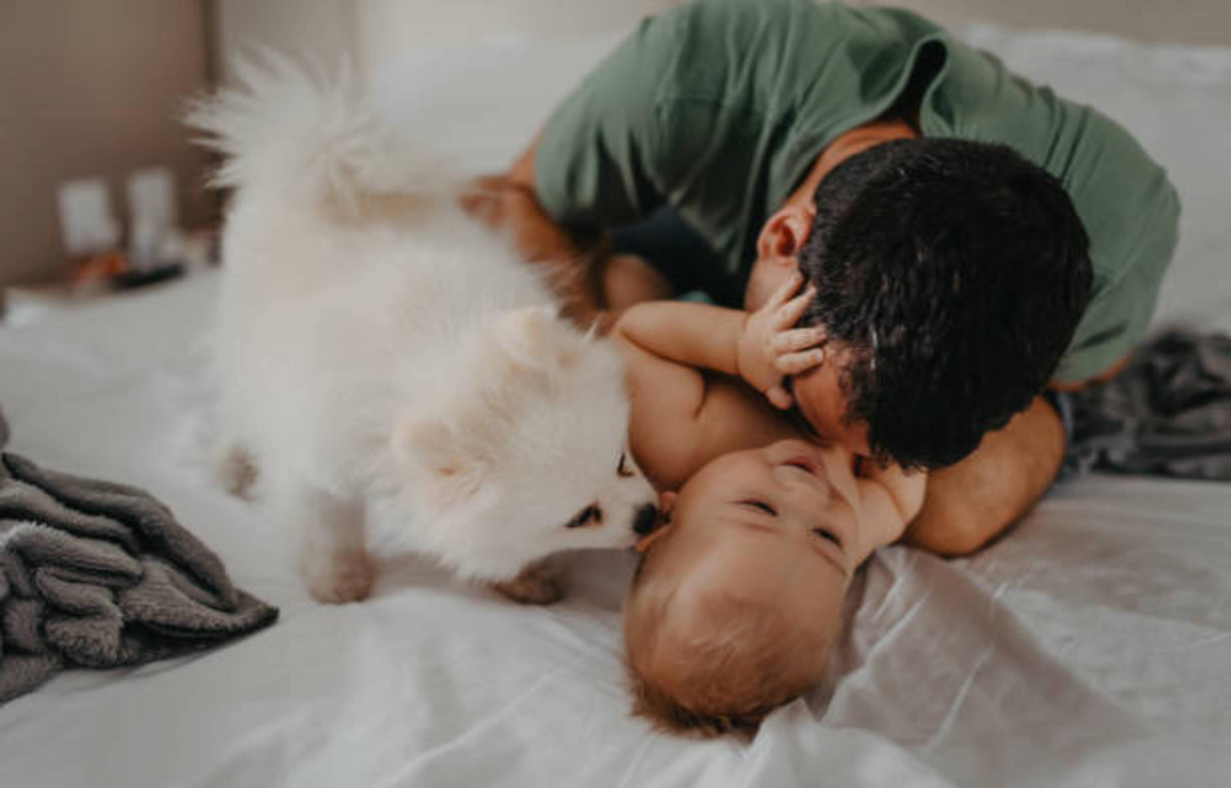 homme qui s'occupe d'un bébé avec un chien à côté