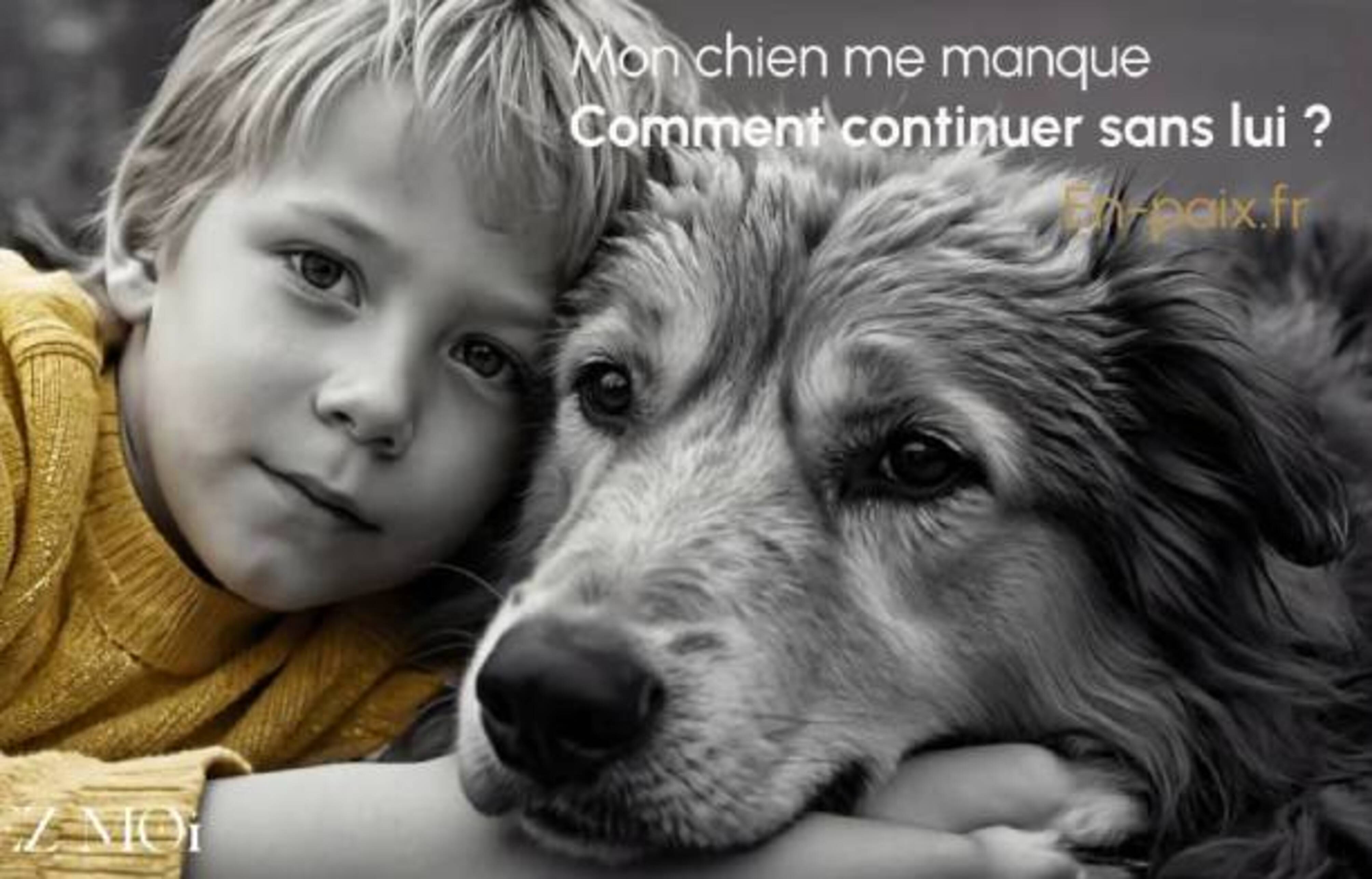 enfant et chien tête contre tête