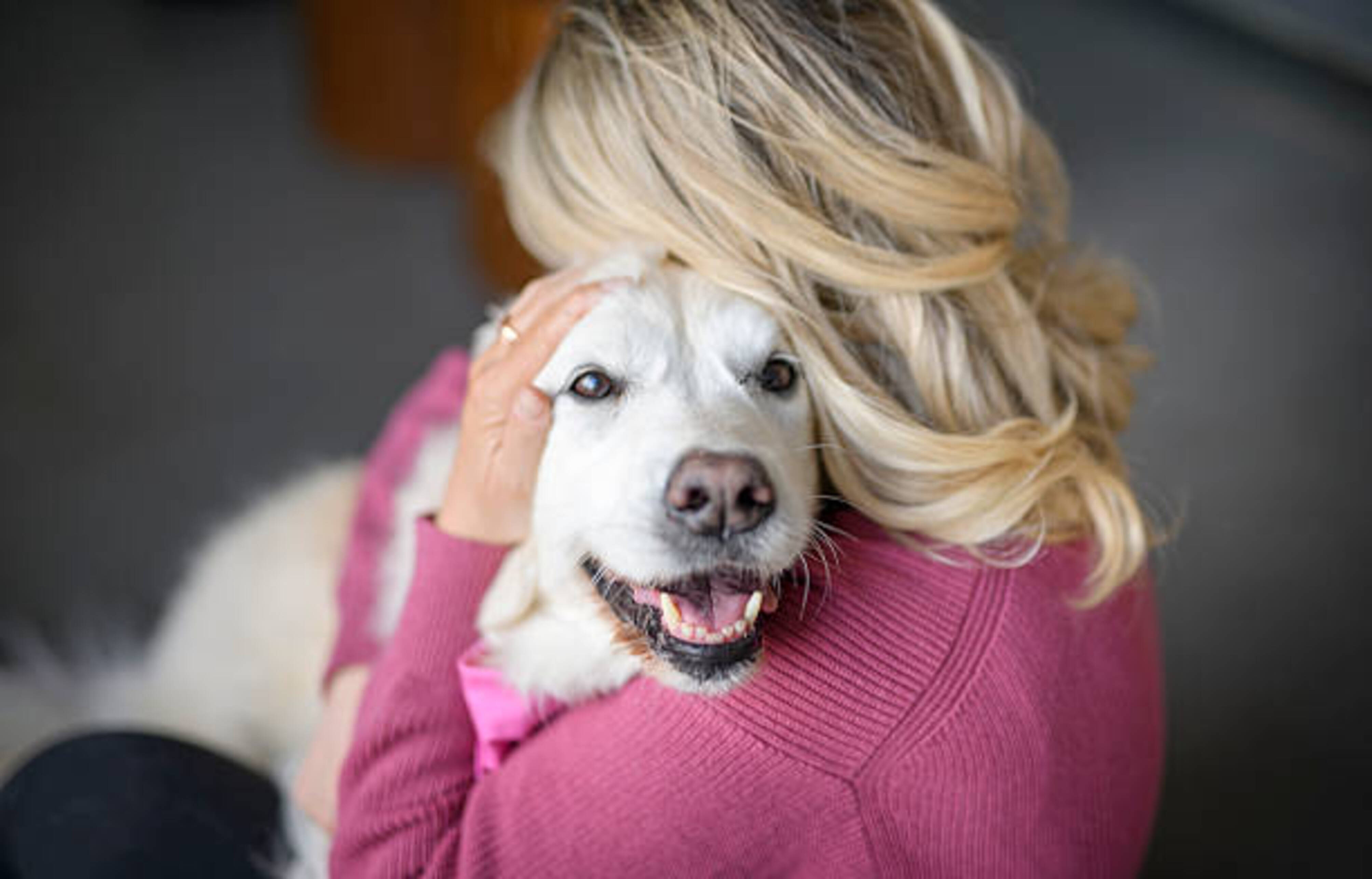femme qui enlace dans ses bras un Golden Retriver