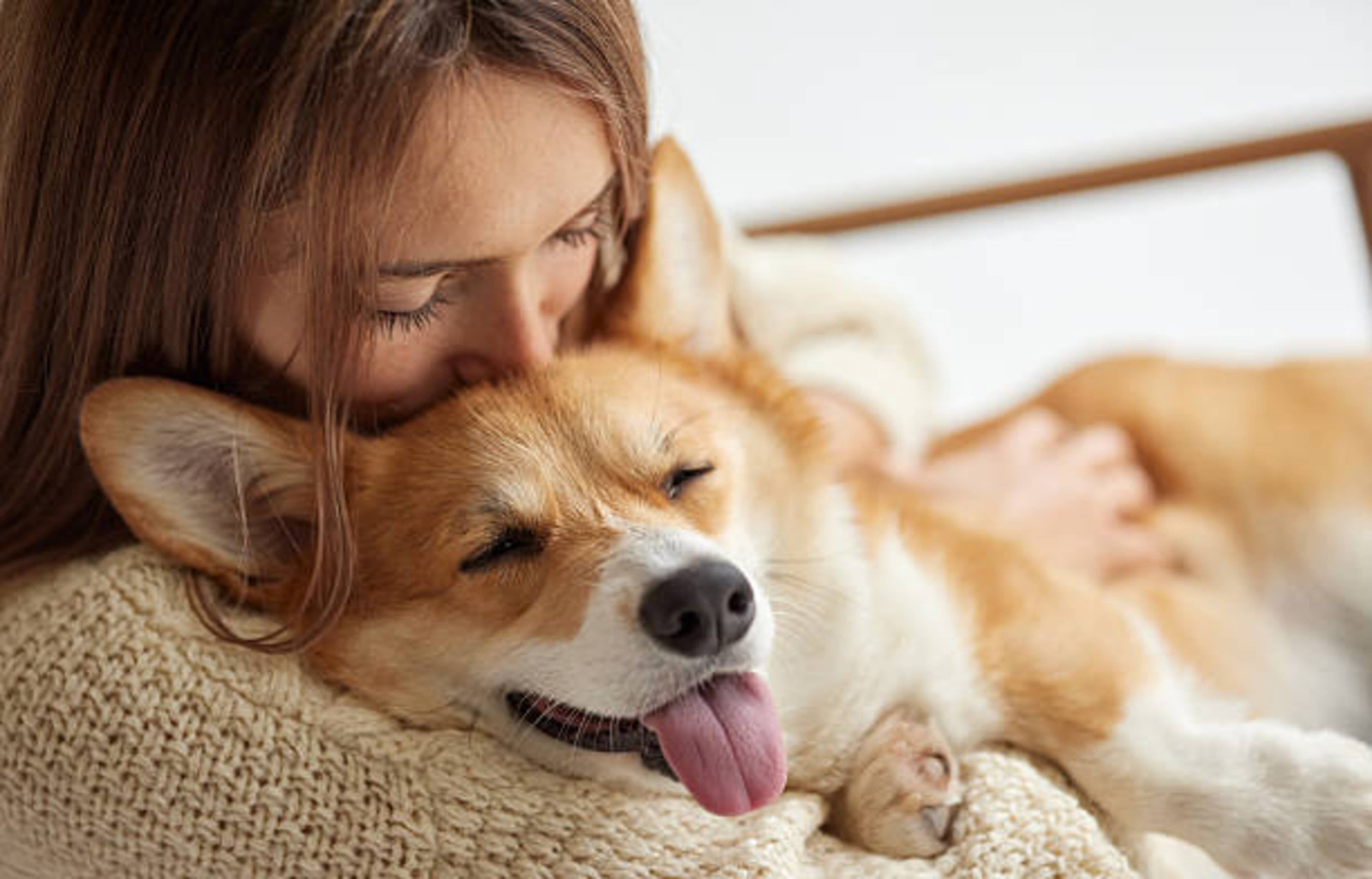femme assis sur un canapé avec son chien dans les bras