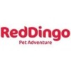 Red Dingo sur animalerie en ligne VOS CHIENS ET CHATS